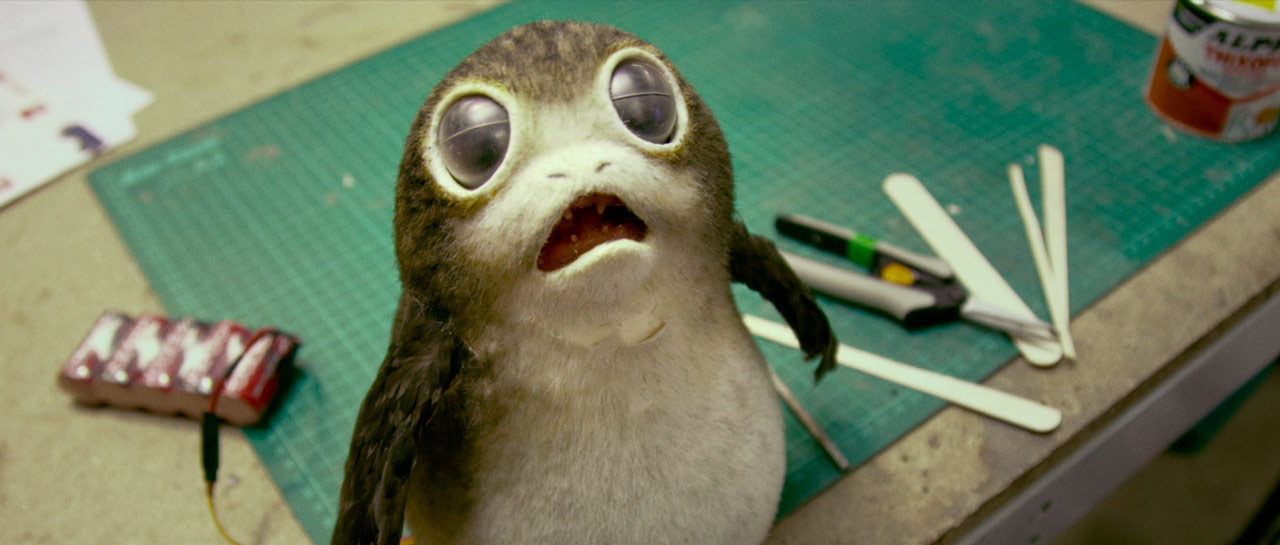 porg